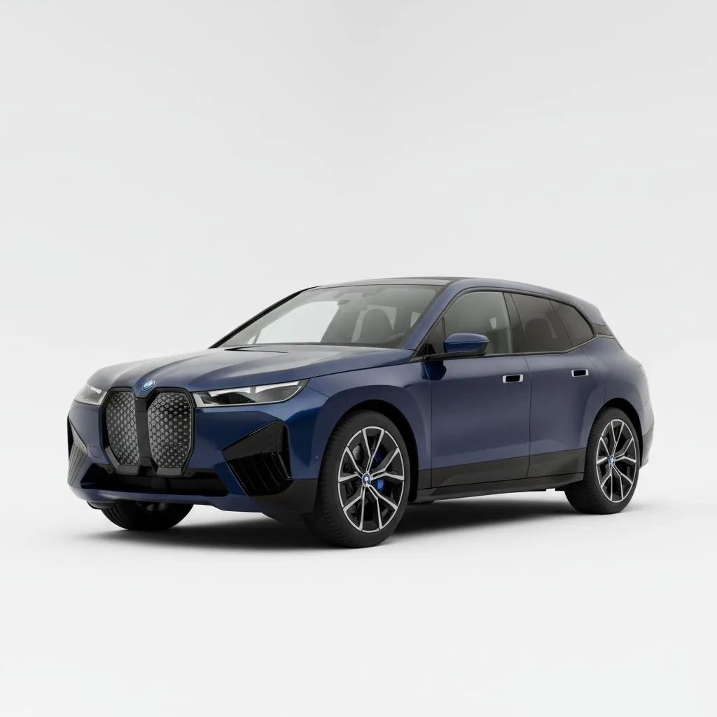 BMW iX xDrive40 326 KM