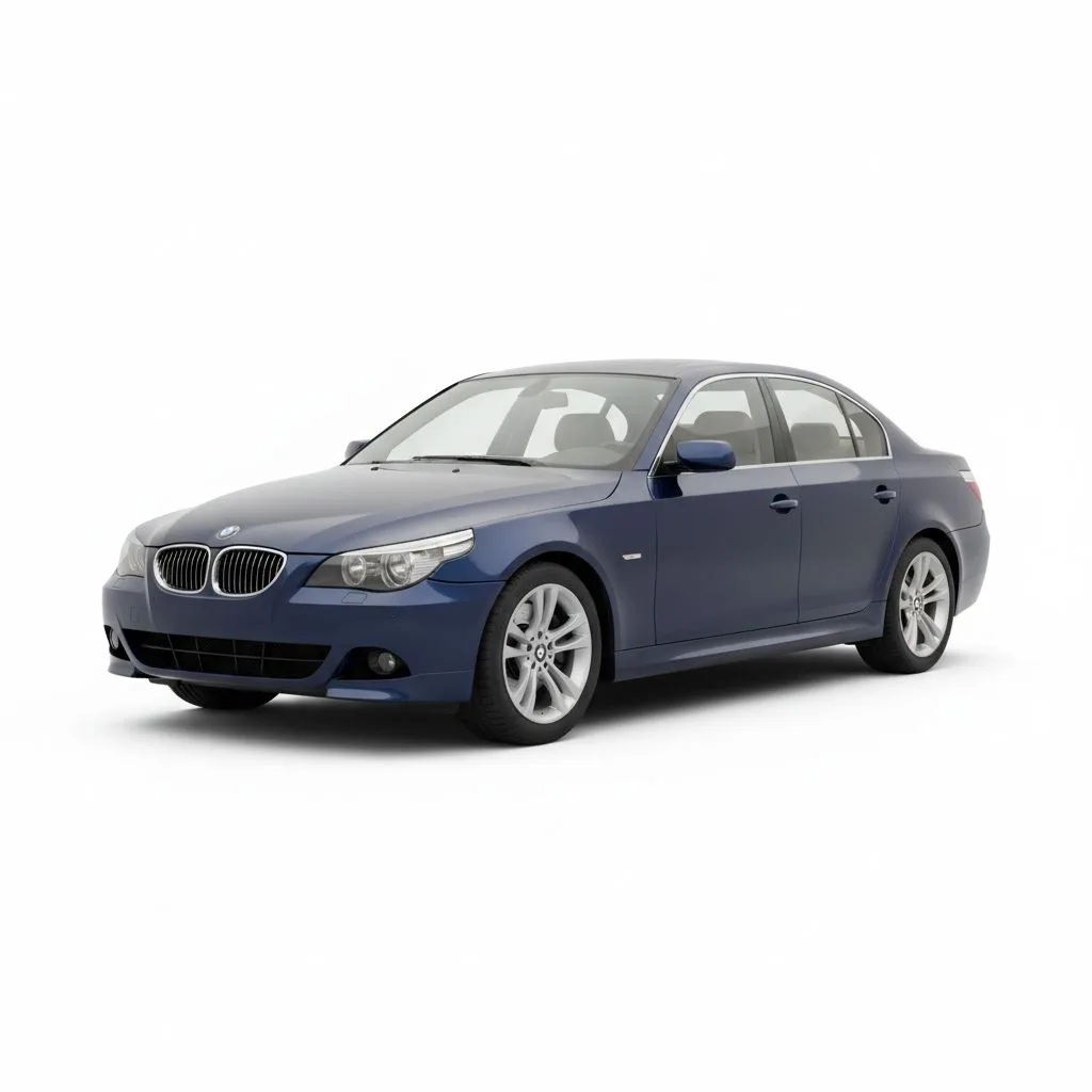 BMW Seria 5 545i 333 KM 6MT