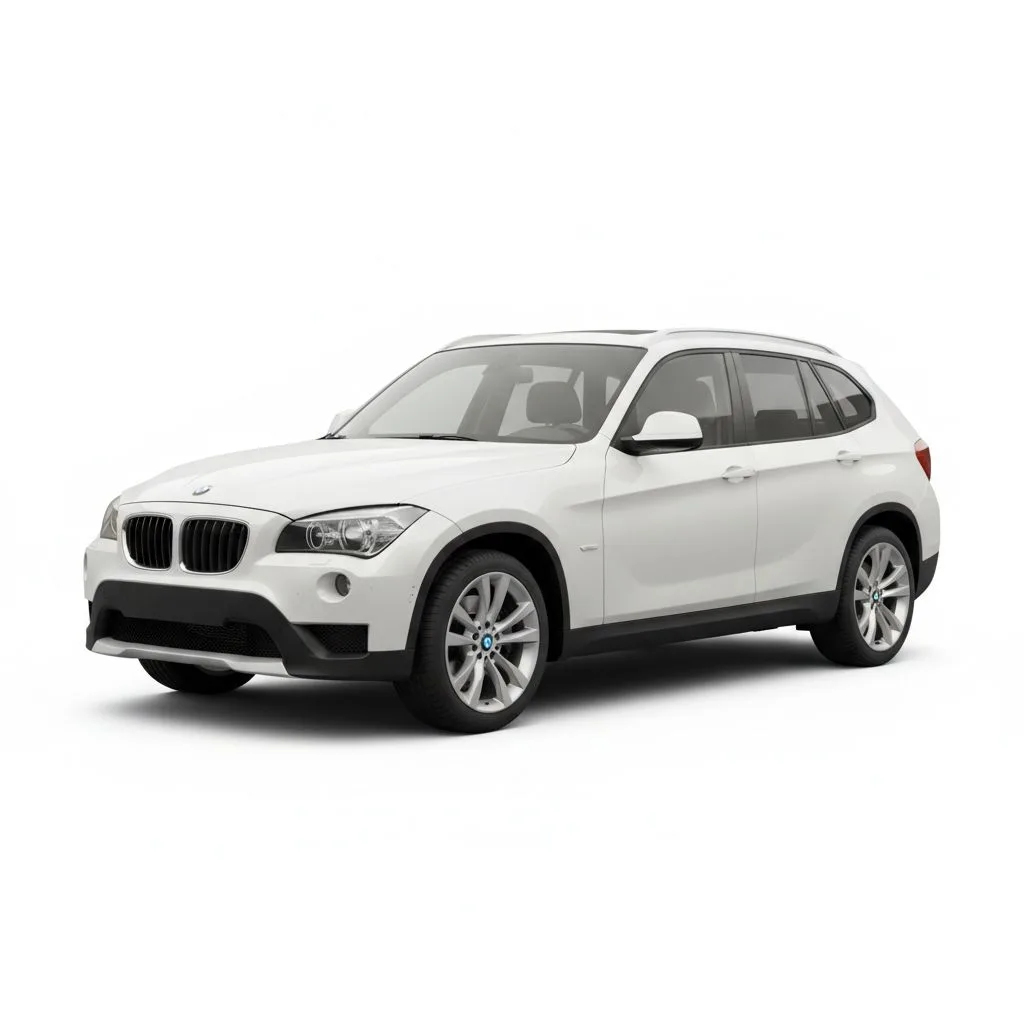 BMW X1 sDrive20i 184 KM 8AT