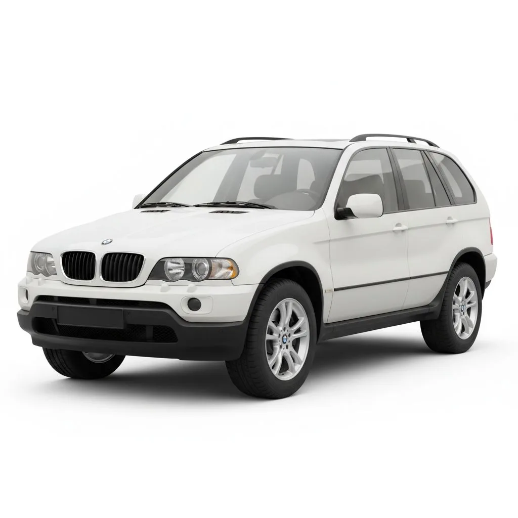 BMW X5 3.0d 184 KM 5AT