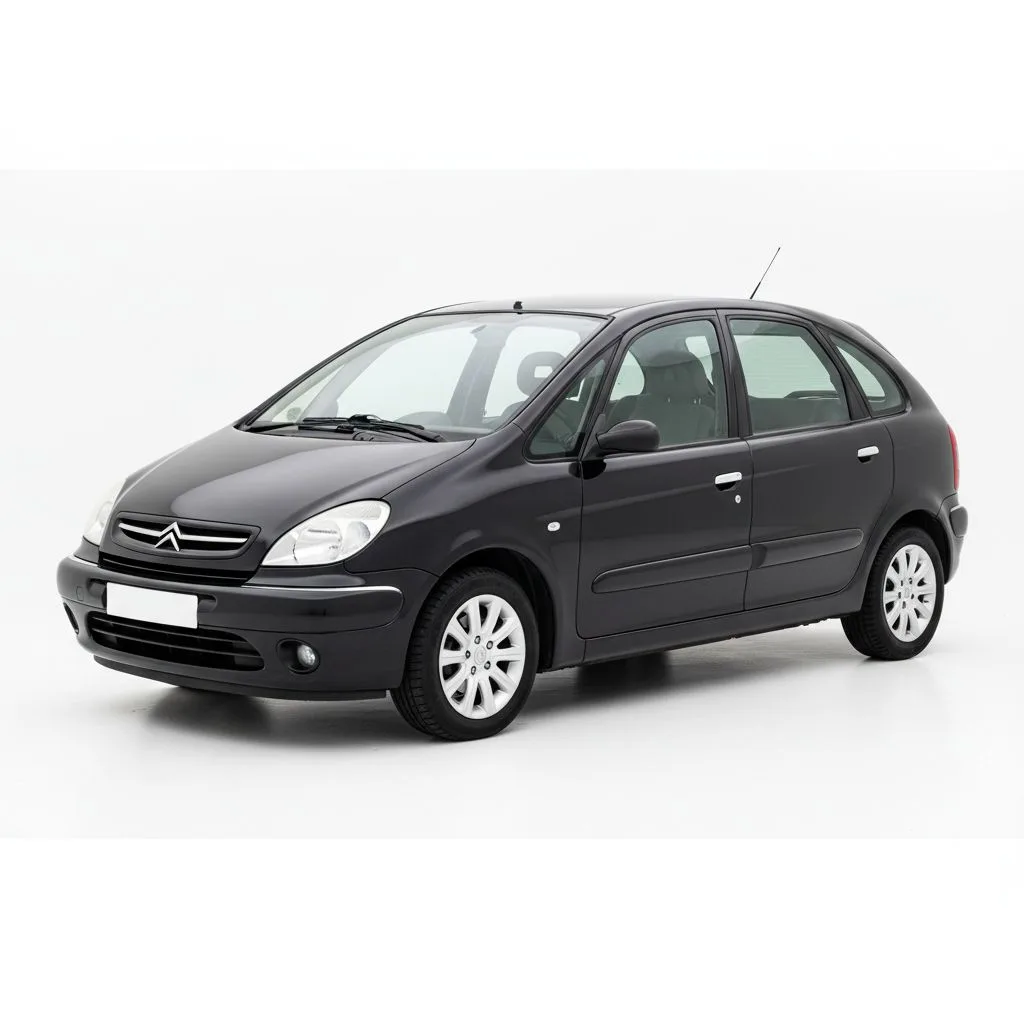 Citroën Xsara Picasso 1.6 HDi 90 KM
