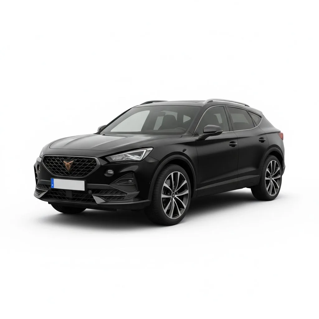 Cupra Terramar 2.0 TSI 204 KM 4Drive 7DSG