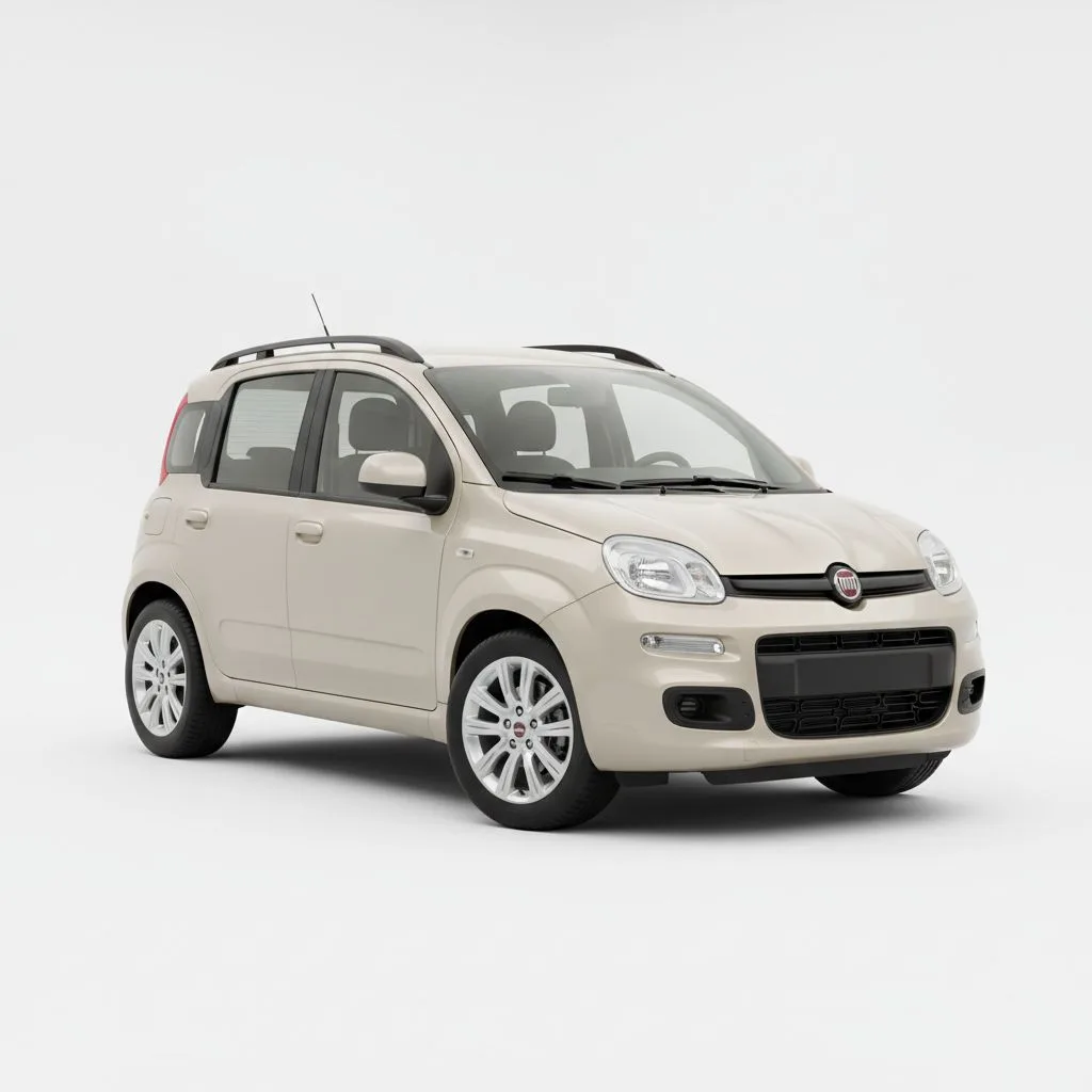 Fiat Panda 1.2 69 KM 5MT