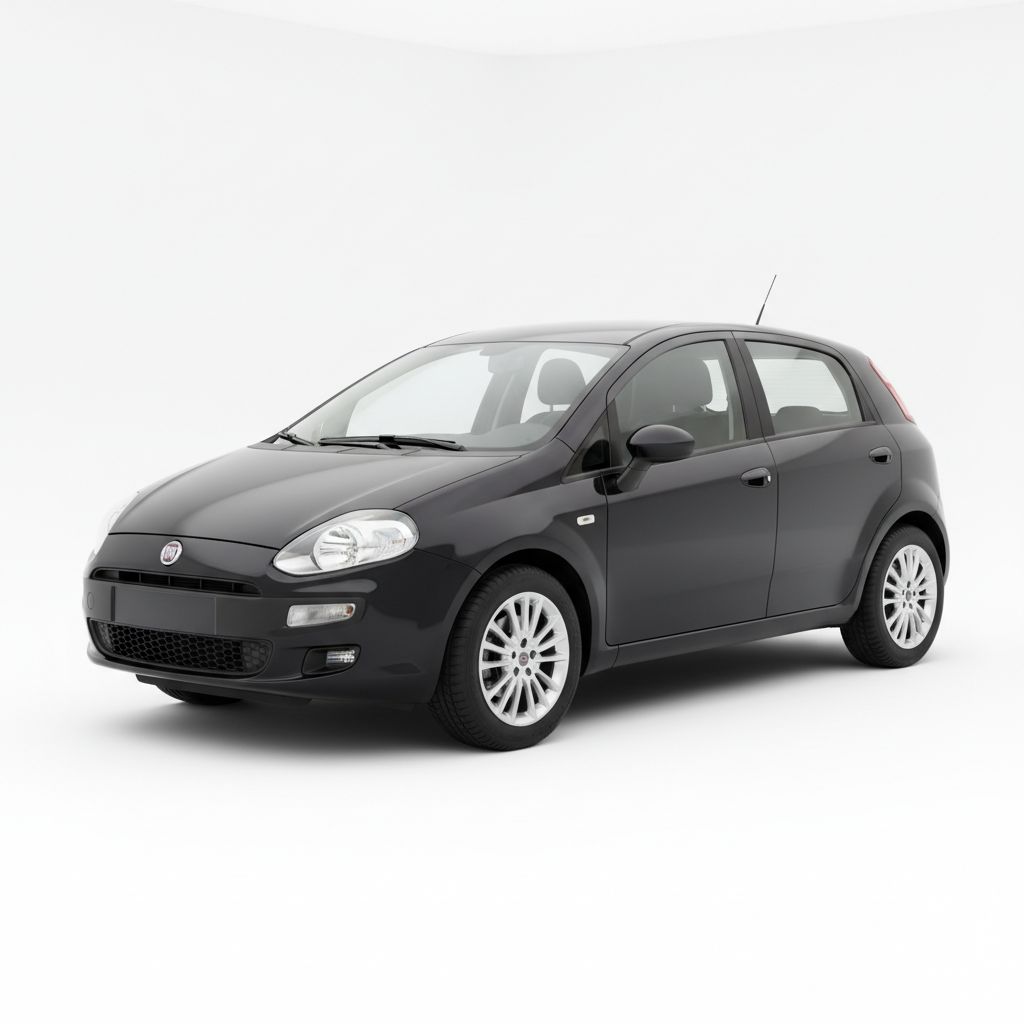 Fiat Punto 199 2012 — widok boczny