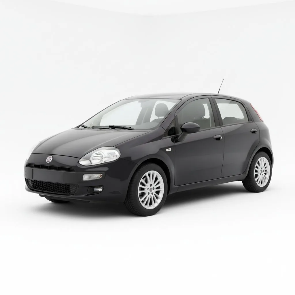 Fiat Punto 1.3 MultiJet 85 KM 5MT