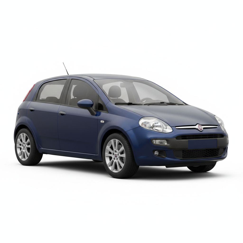 Fiat Punto 199 2012 — widok boczny