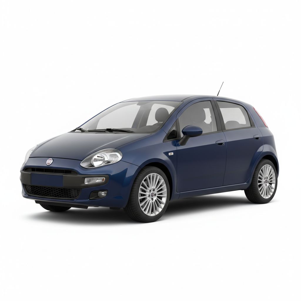 Fiat Punto 199 2012 — widok boczny