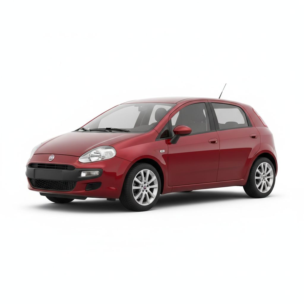 Fiat Punto 199 2012 — widok boczny