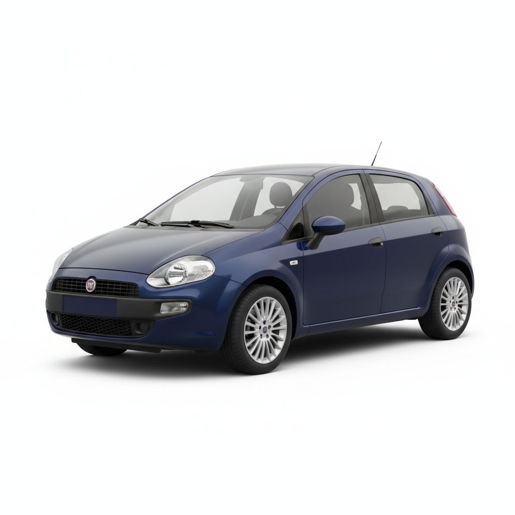 Fiat Punto 199 2014 — widok boczny
