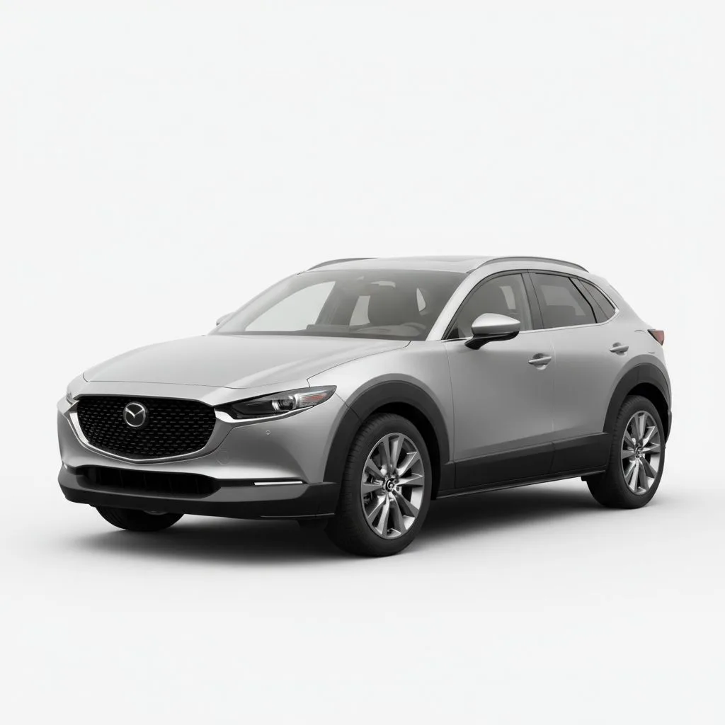 Mazda CX-30 DM 2.0 e-Skyactiv-G 122 KM 6MT