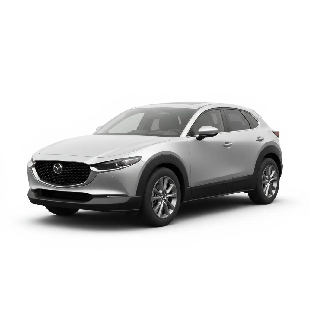 Mazda CX-30 DM 2.0 Skyactiv-G 122 KM