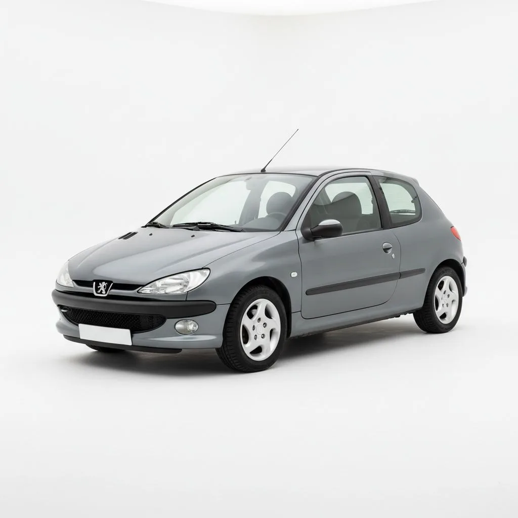 Peugeot 206 1.1 60 KM 5MT