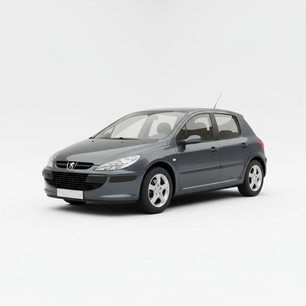 Peugeot 307 1.4 HDi 70 KM 5MT