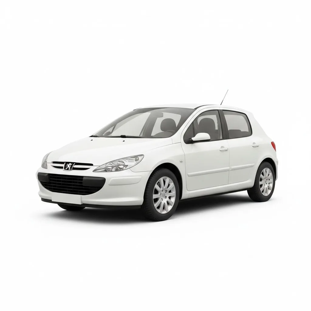 Peugeot 307 1.6 109 KM 5MT