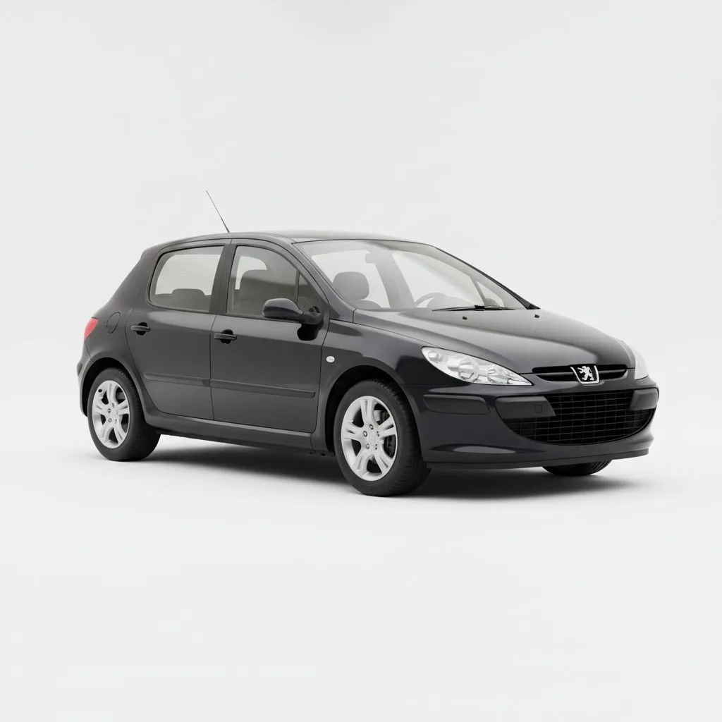 Peugeot 307 2.0 16V 140 KM 5MT