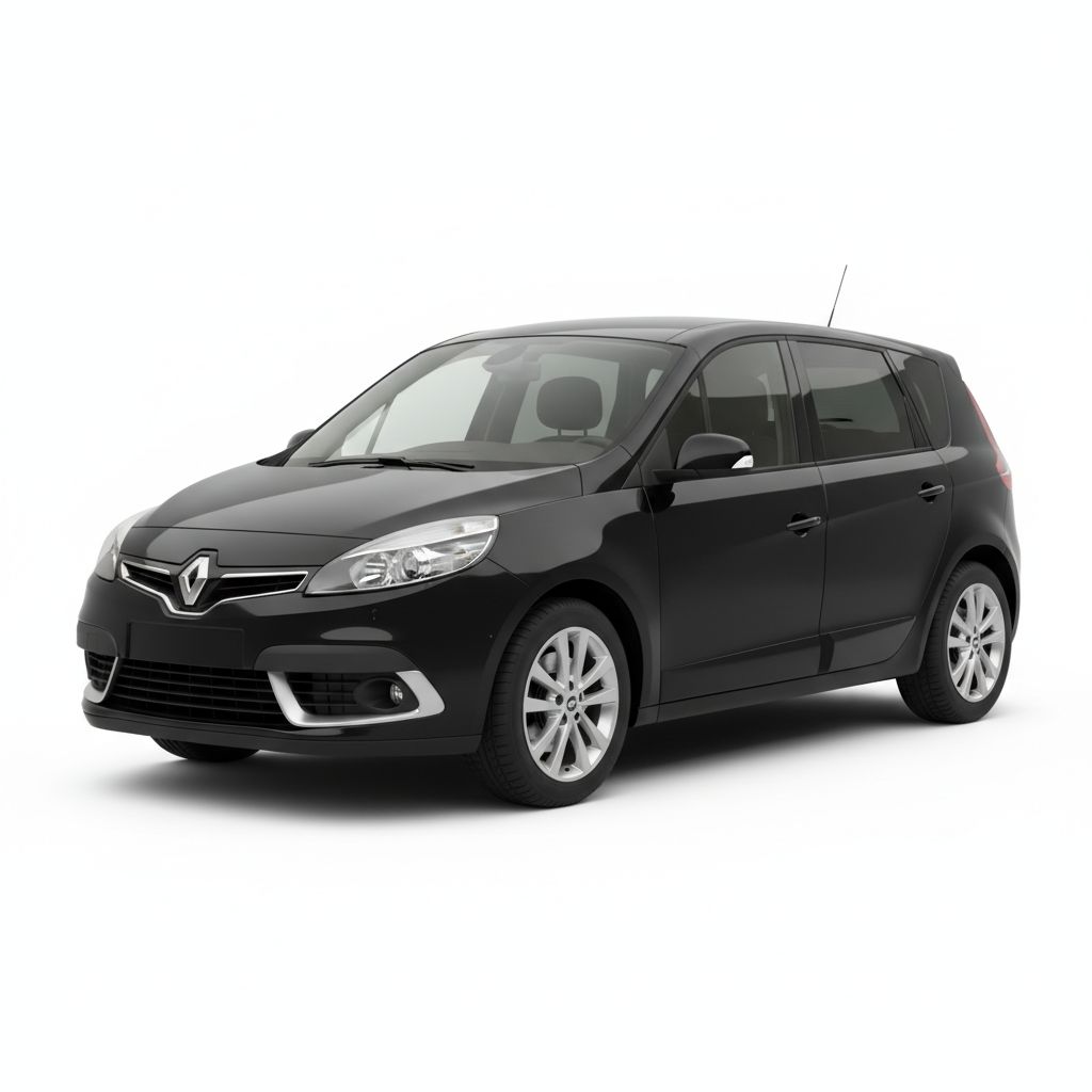 Renault Scenic III 2009 — widok boczny