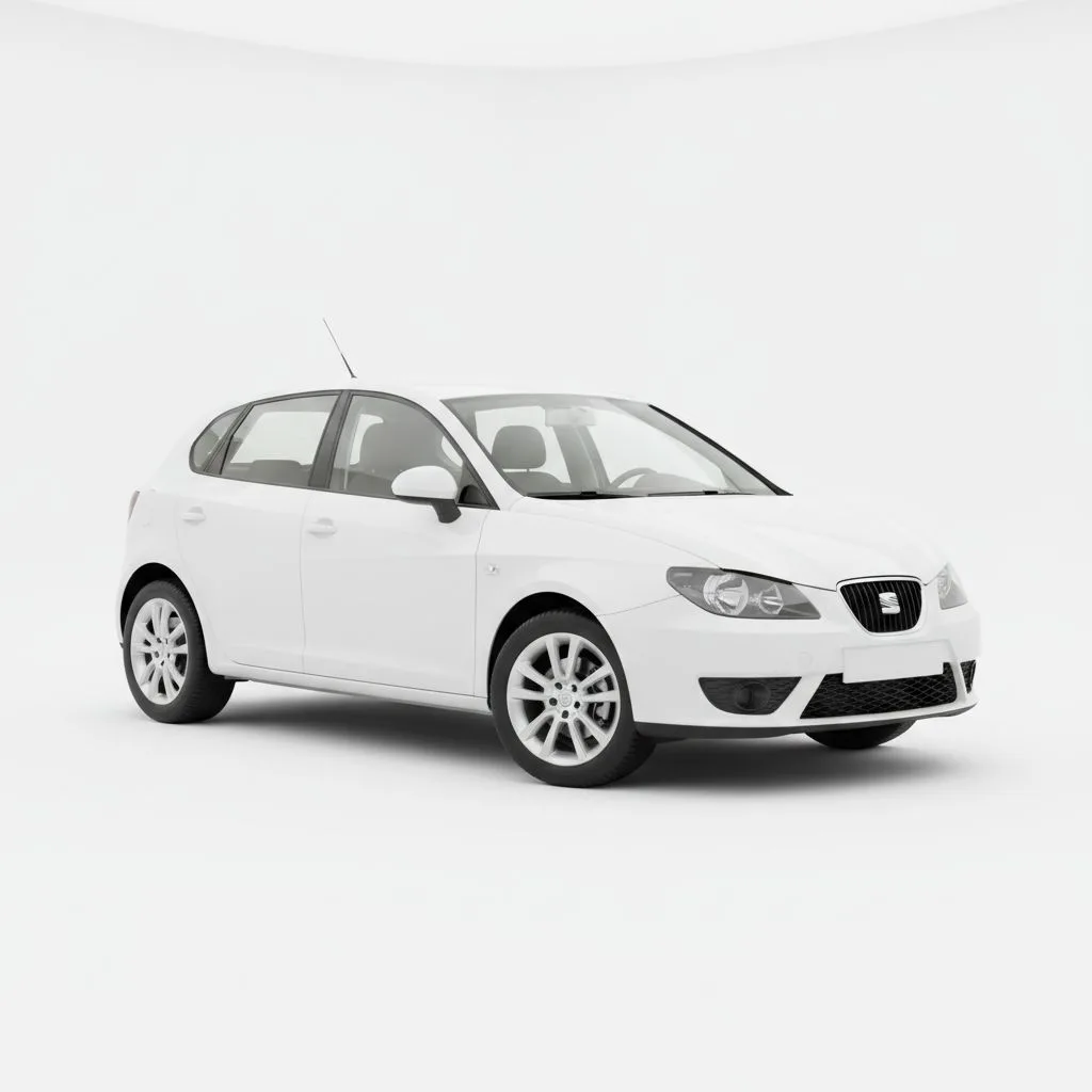 SEAT Ibiza 1.4 TDI 75 KM 5MT