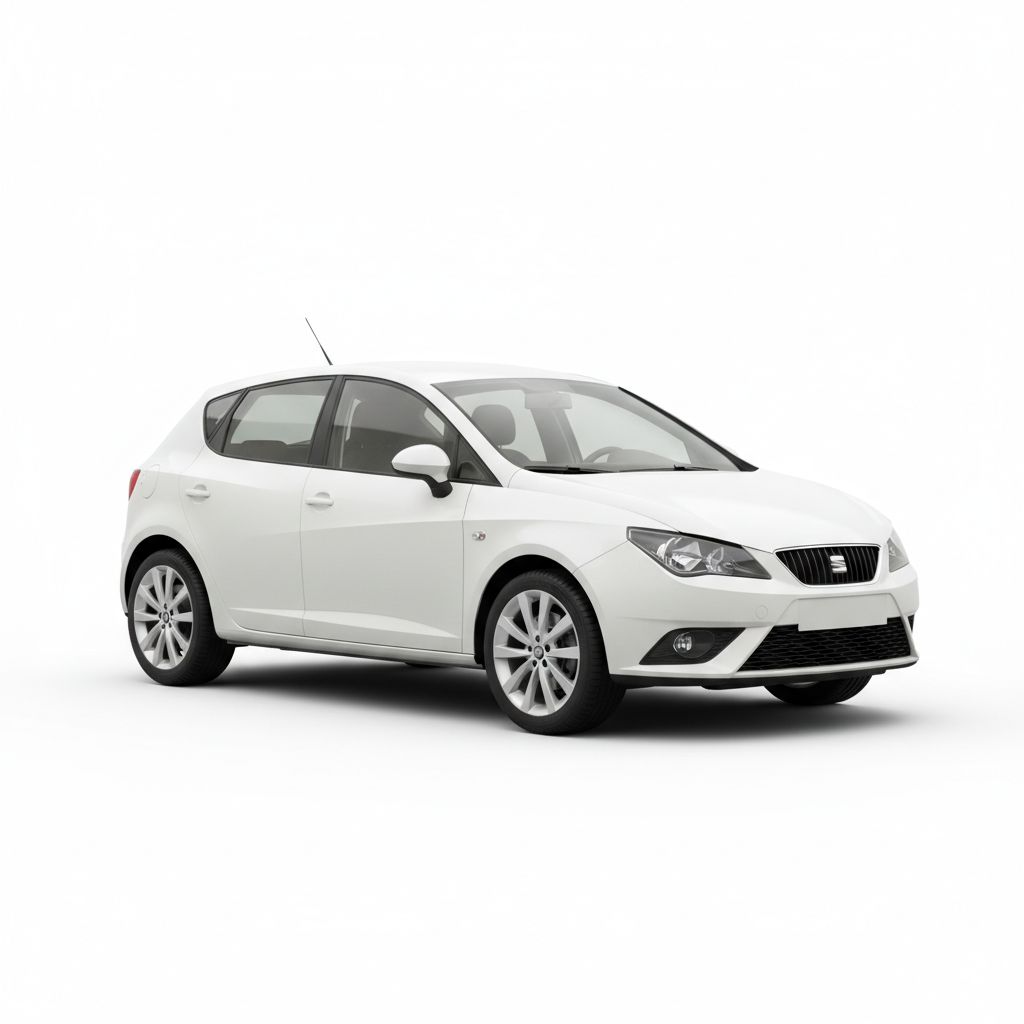 SEAT Ibiza Mk4 2008 — widok boczny