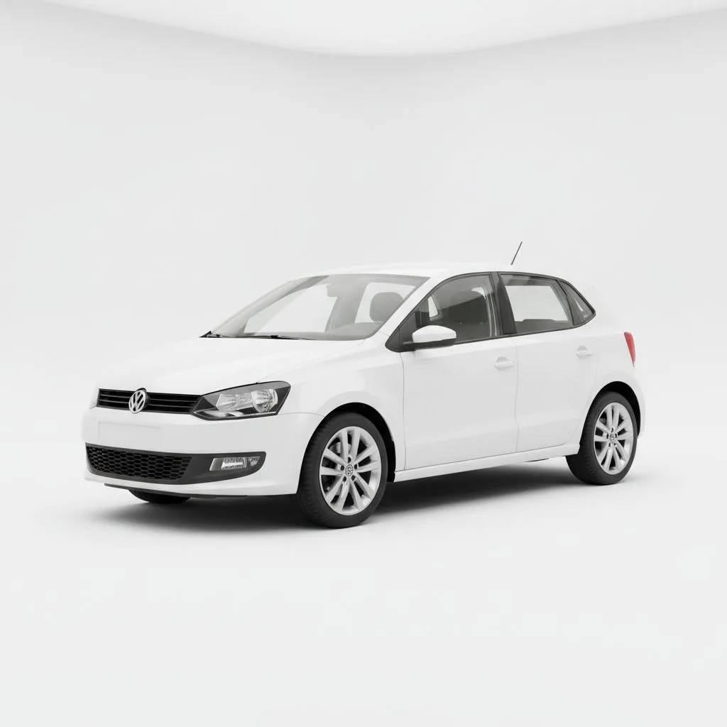 Volkswagen Polo Mk5 1.2 70 KM 5MT